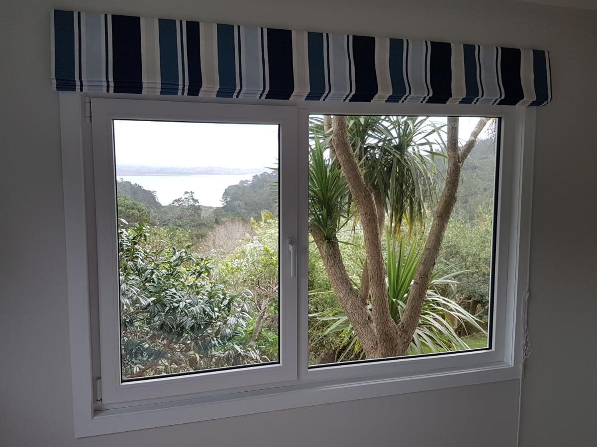 Fernglen B&B Auckland Extérieur photo